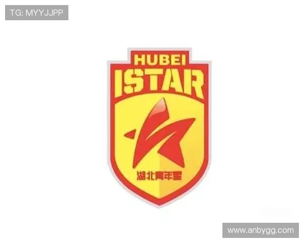 湖北青年星冬窗球员输送名单曝光